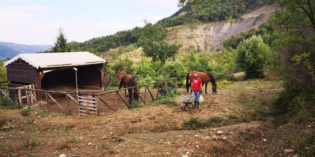 Agricampeggio Ca Di Mazza Monzuno Bagian luar foto