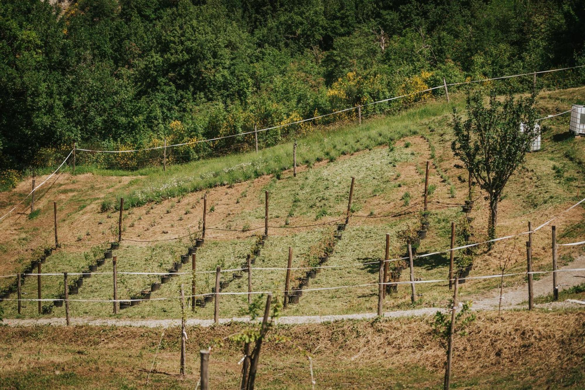 Agricampeggio Ca Di Mazza Monzuno Bagian luar foto