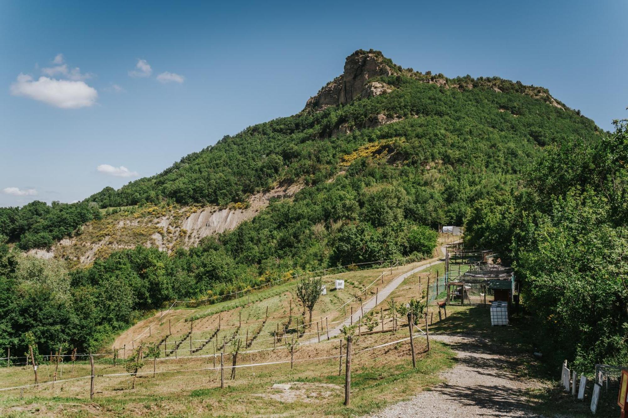 Agricampeggio Ca Di Mazza Monzuno Bagian luar foto